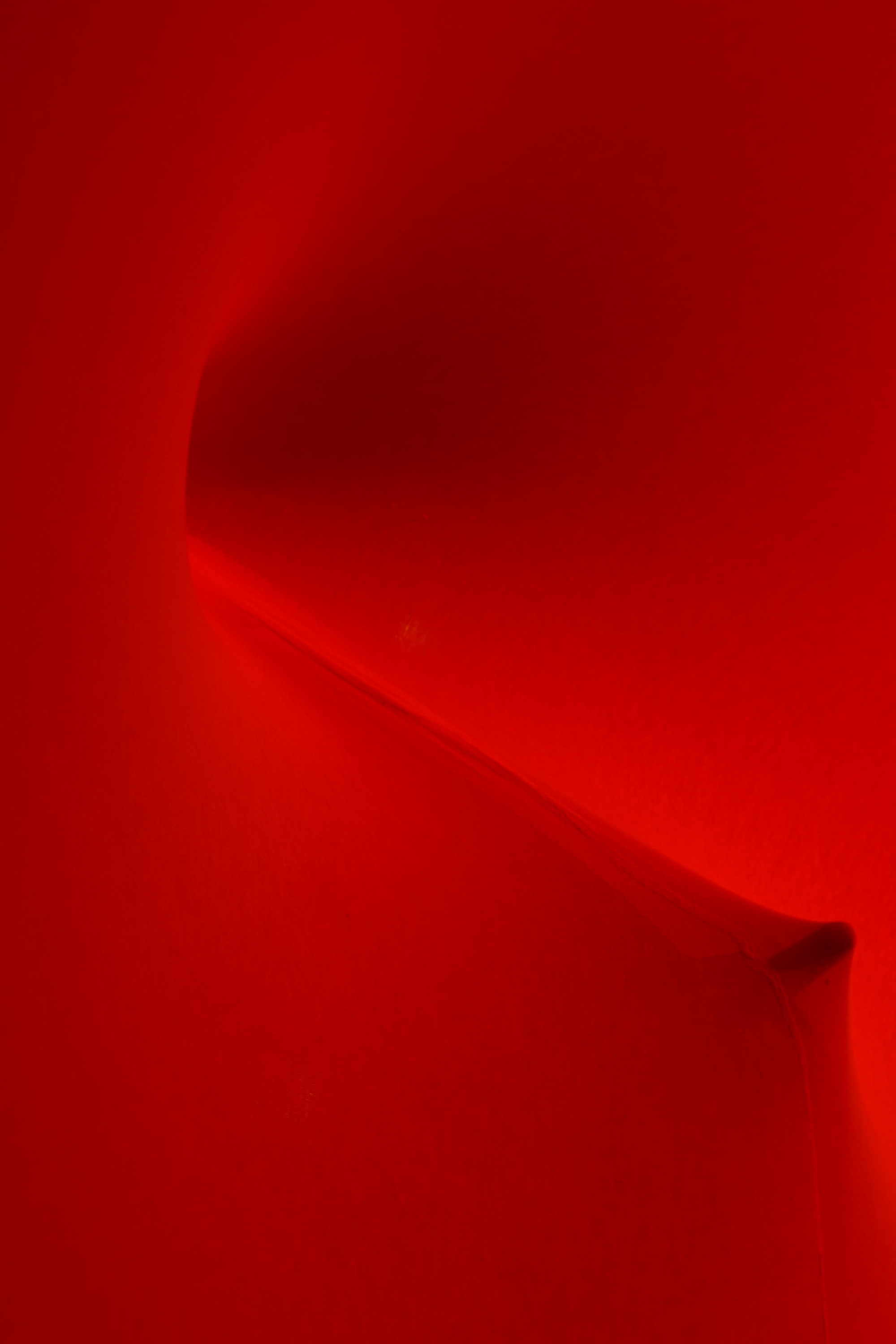 Erogenous Landscape — 4