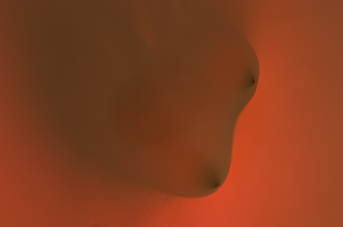 Erogenous Landscape — 5