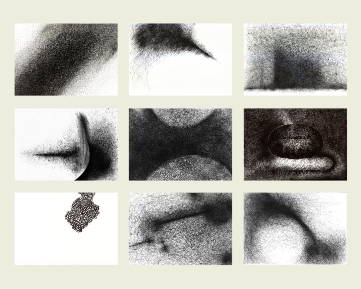 Drawings & Paintings