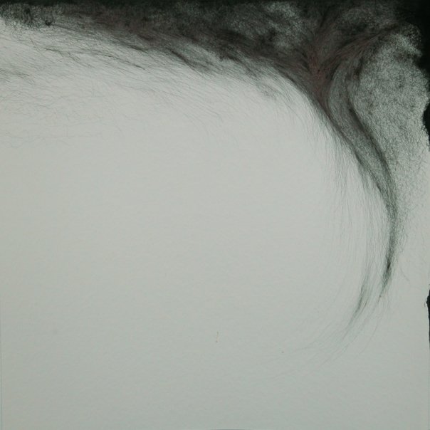 Hairscape
